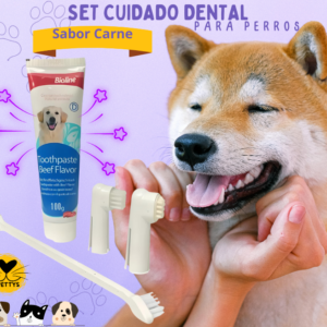 Set Cuidado Dental Para Perros Sabor Carne