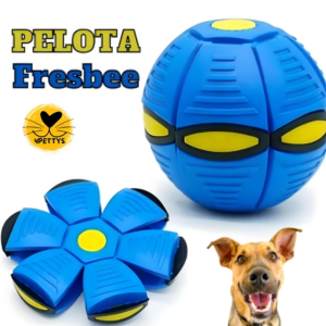 Pelota Fresbee