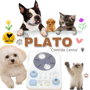 Plato de Comida Lenta