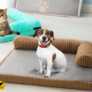 Cama Sofá Terapéutico para Mascotas
