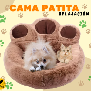 Cama Patita Relajación 50 cm.