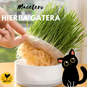 MACETERO HIERBA GATERA CULTIVO DESMONTABLE