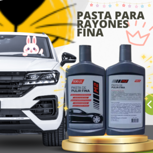 PASTA PARA RAYONES FINA